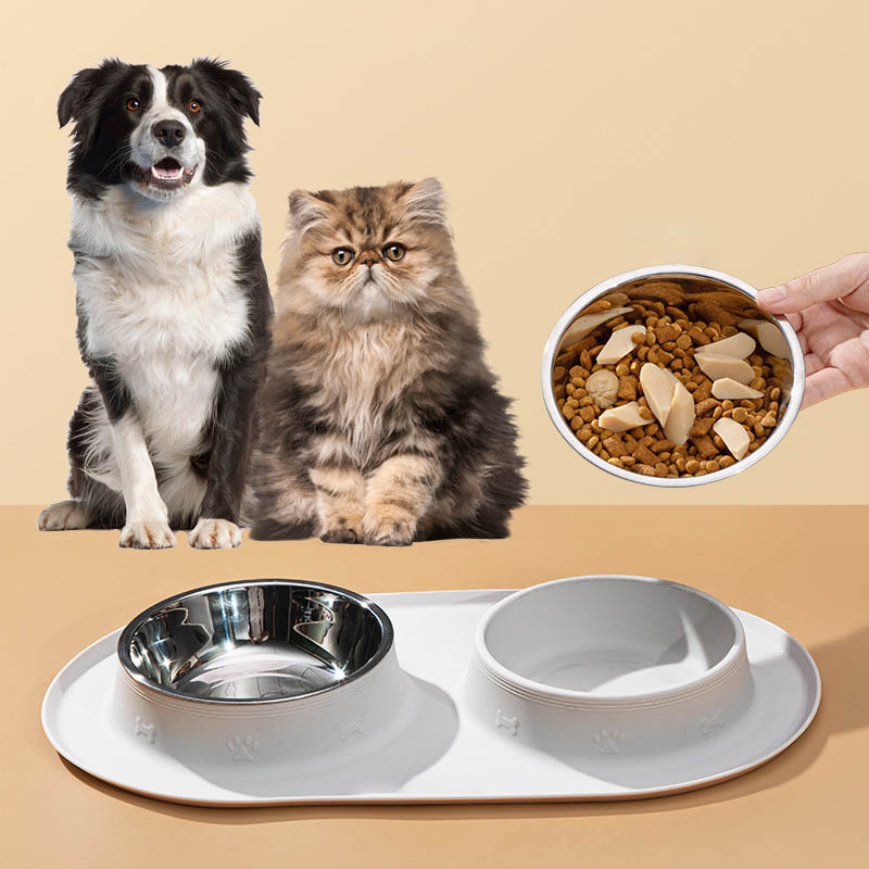 double dog bowl
